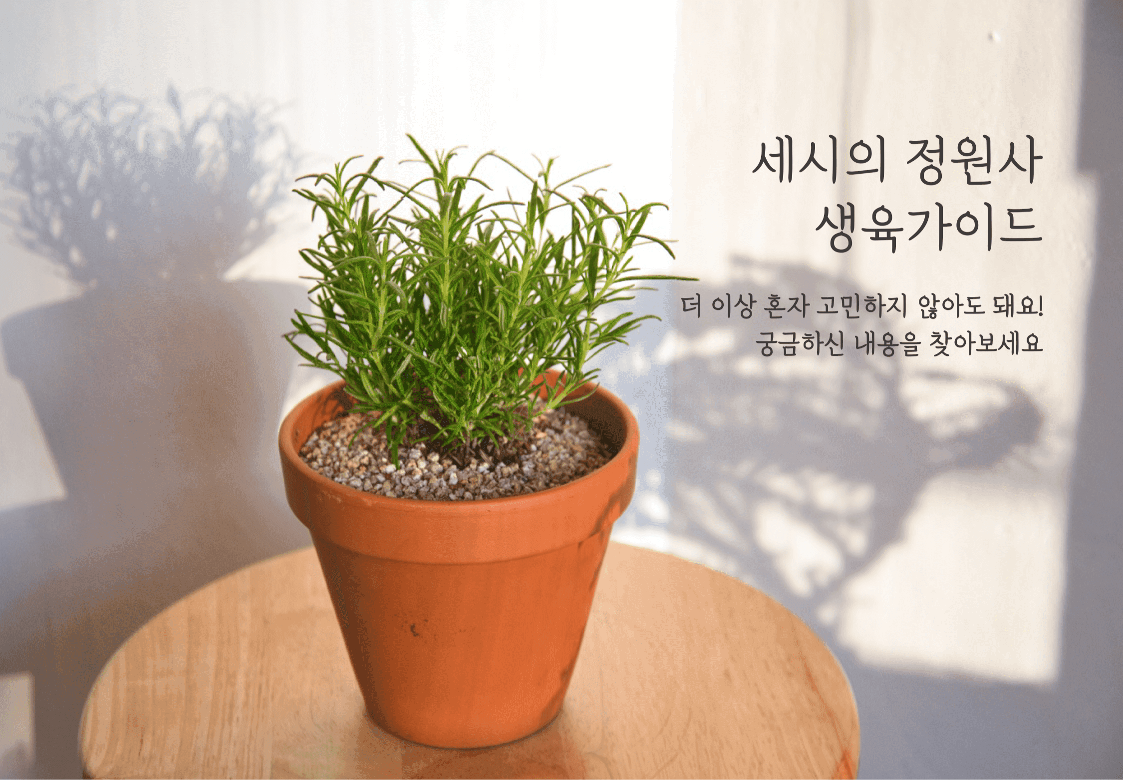 생육가이드
