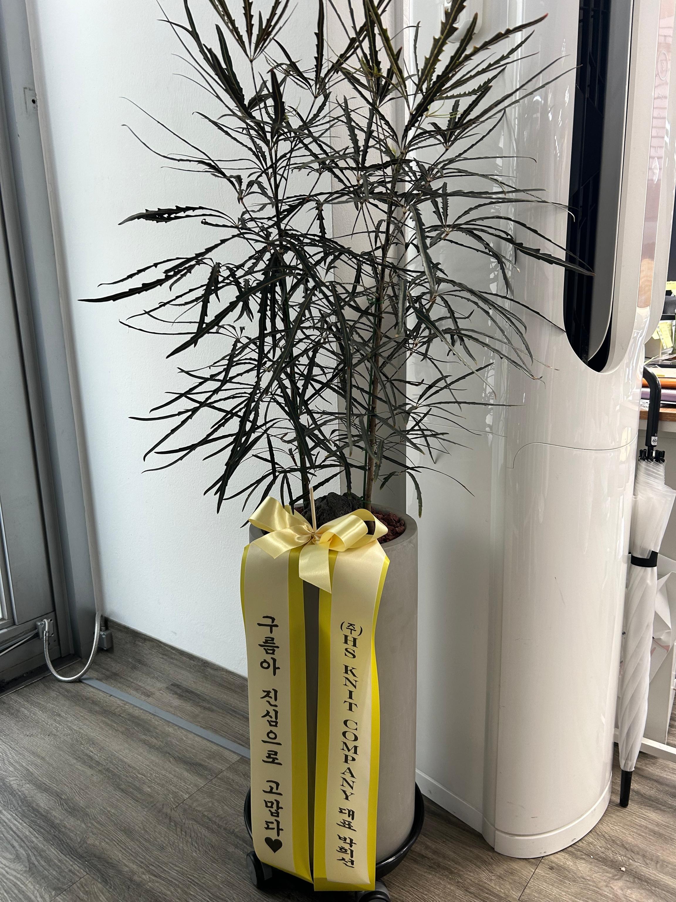 리뷰사진-0