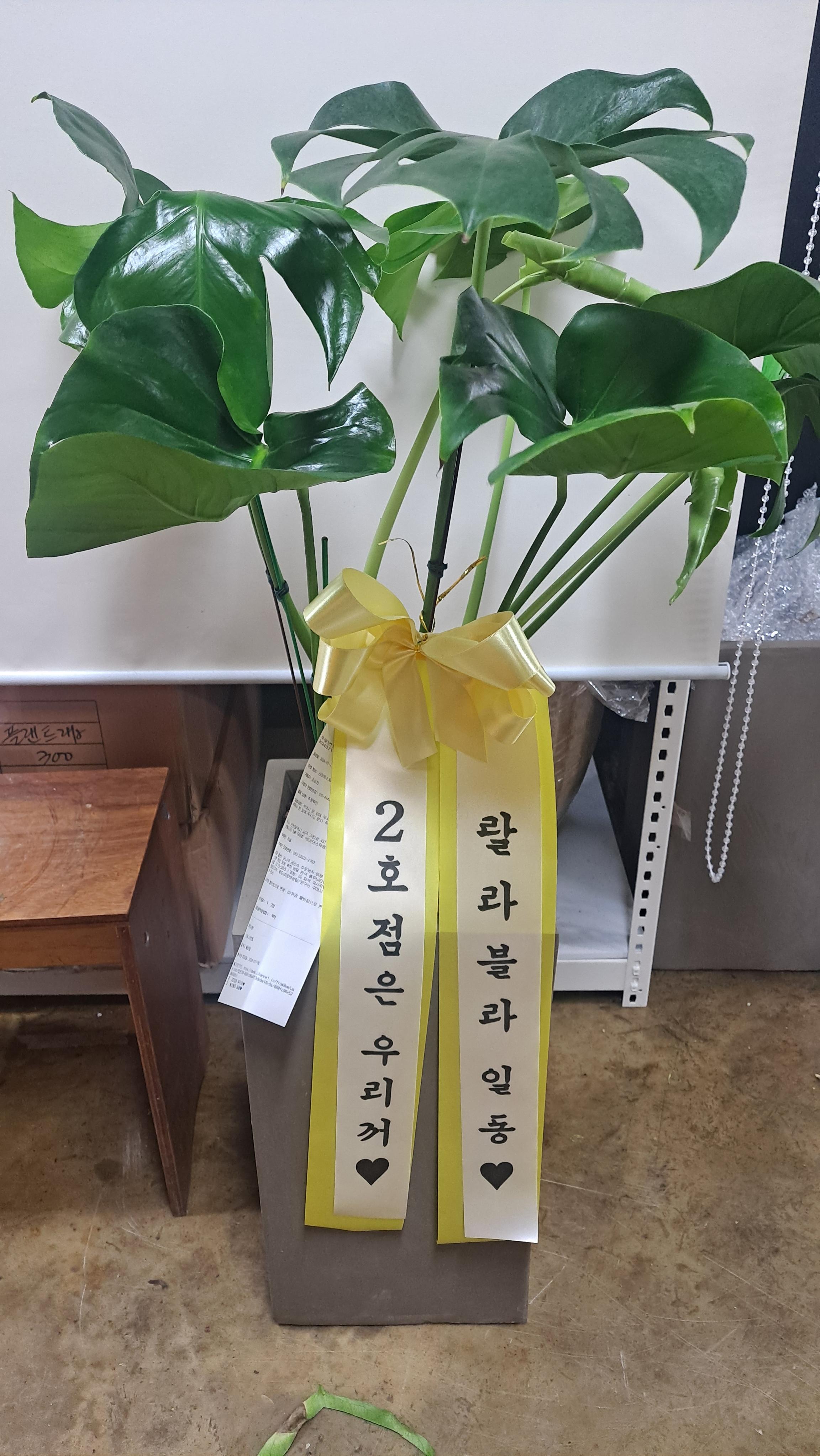 리뷰사진-0