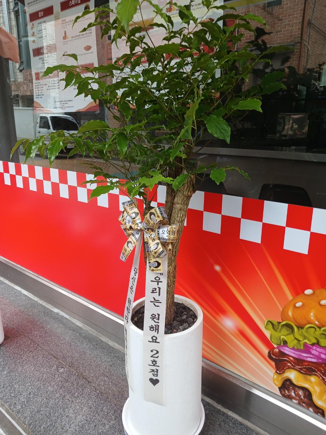 리뷰사진-0