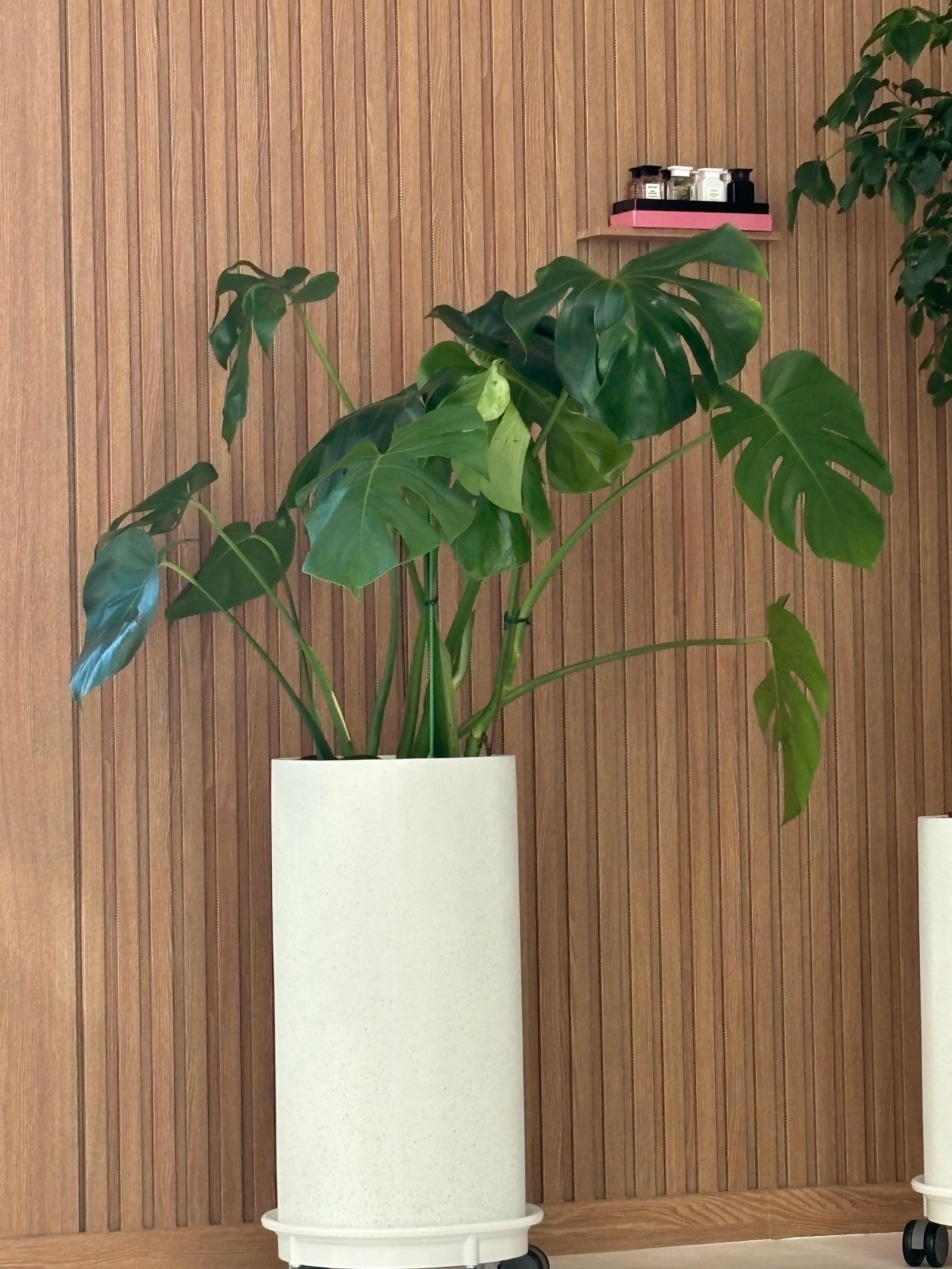 리뷰사진-0