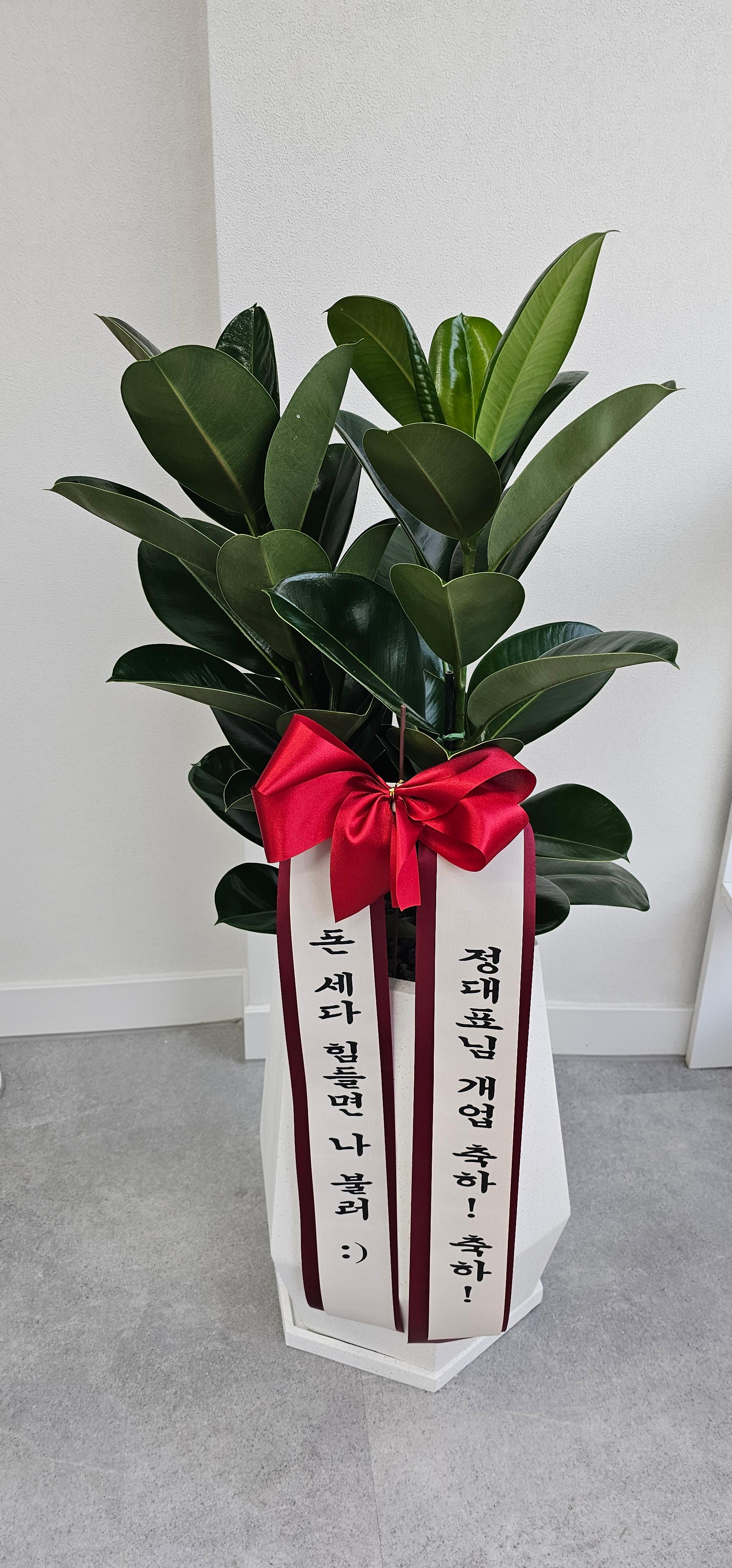 리뷰사진-0