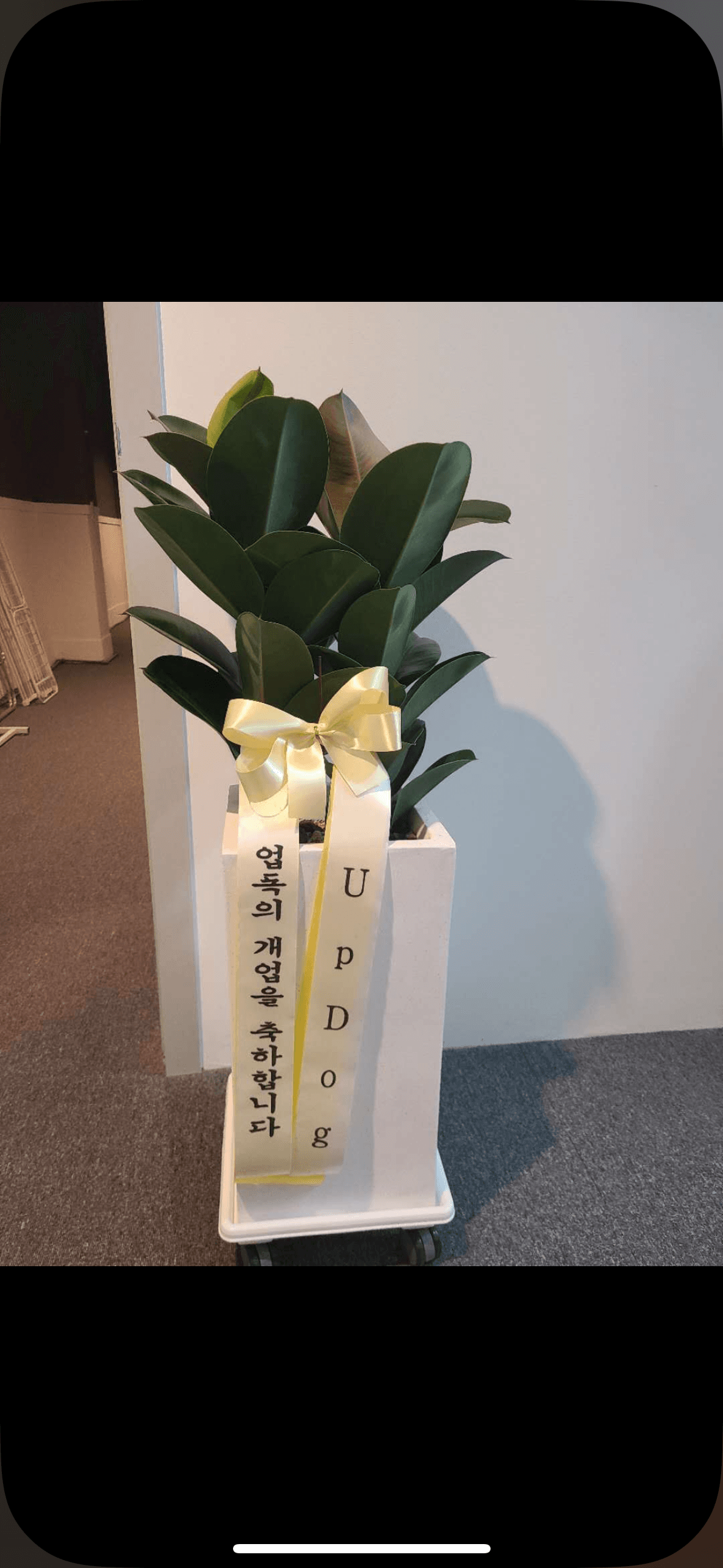 리뷰사진-0