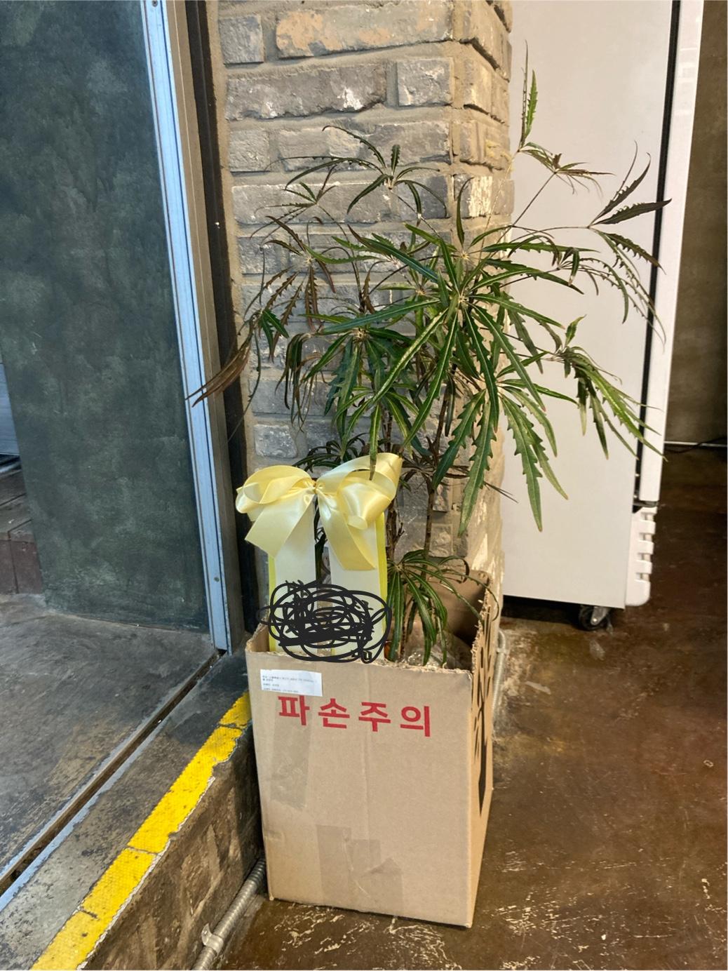 리뷰사진-0