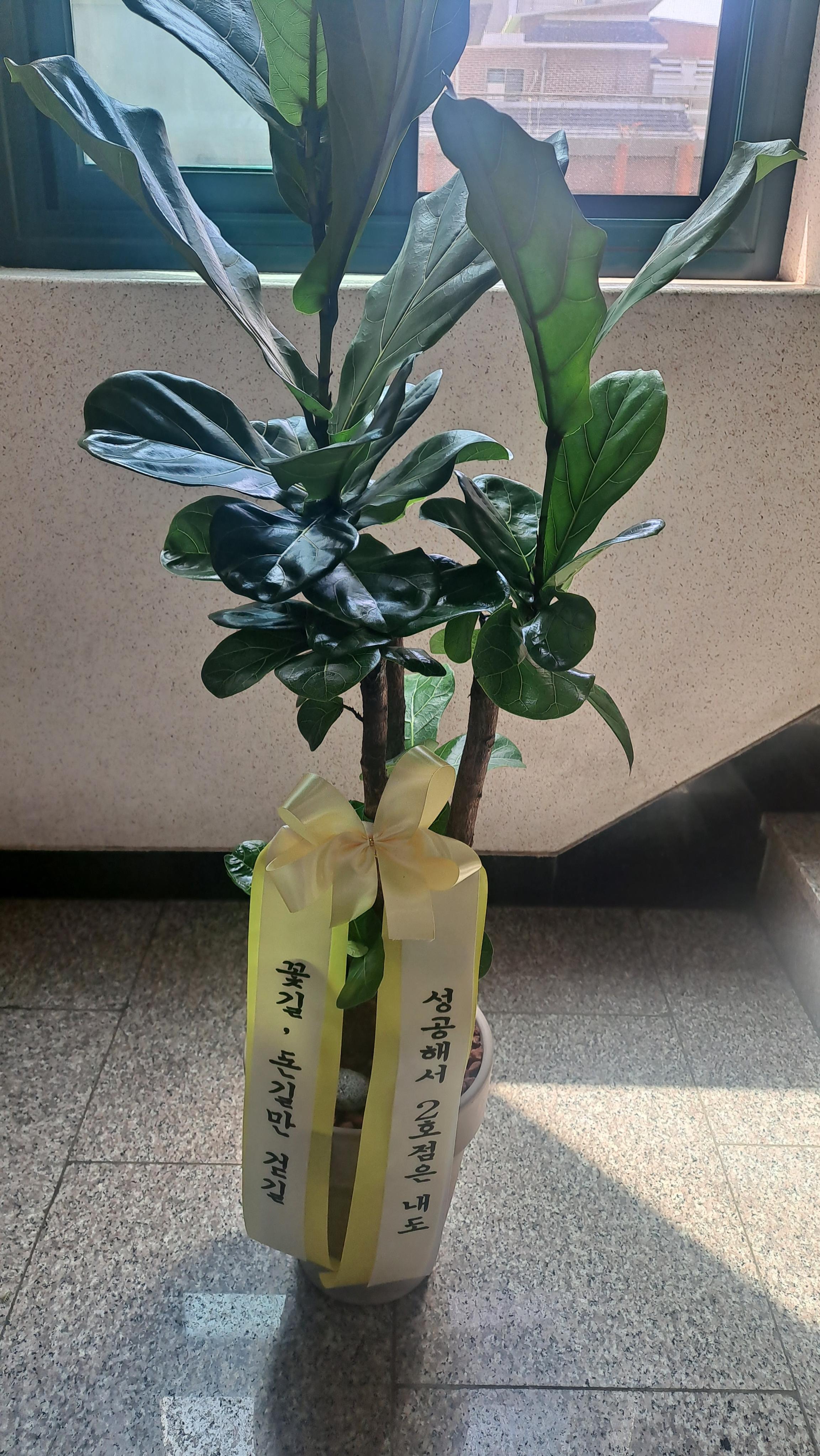 리뷰사진-0