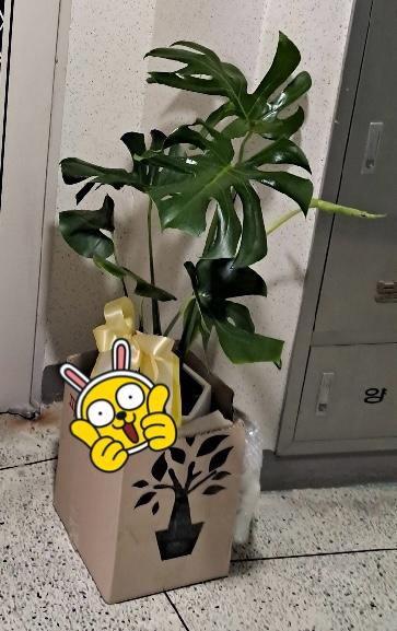 리뷰사진-0