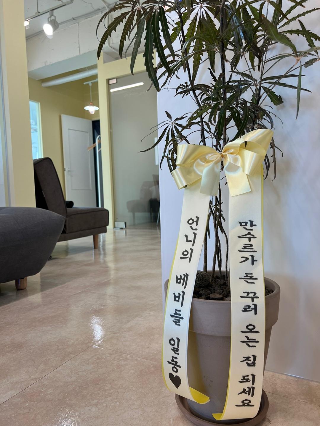 리뷰사진-0