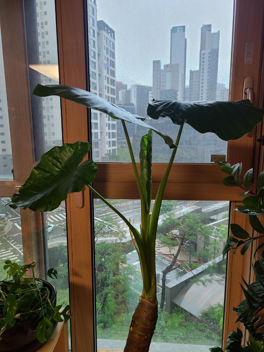 리뷰사진-0