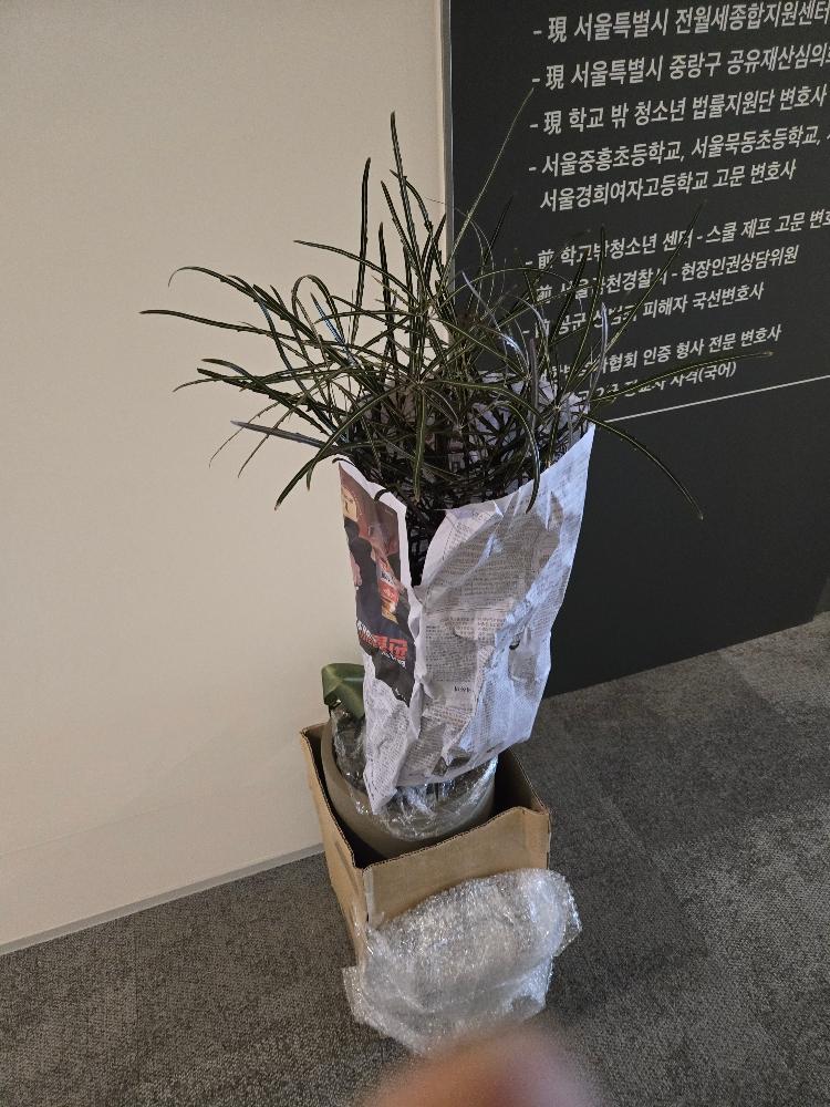 리뷰사진-0