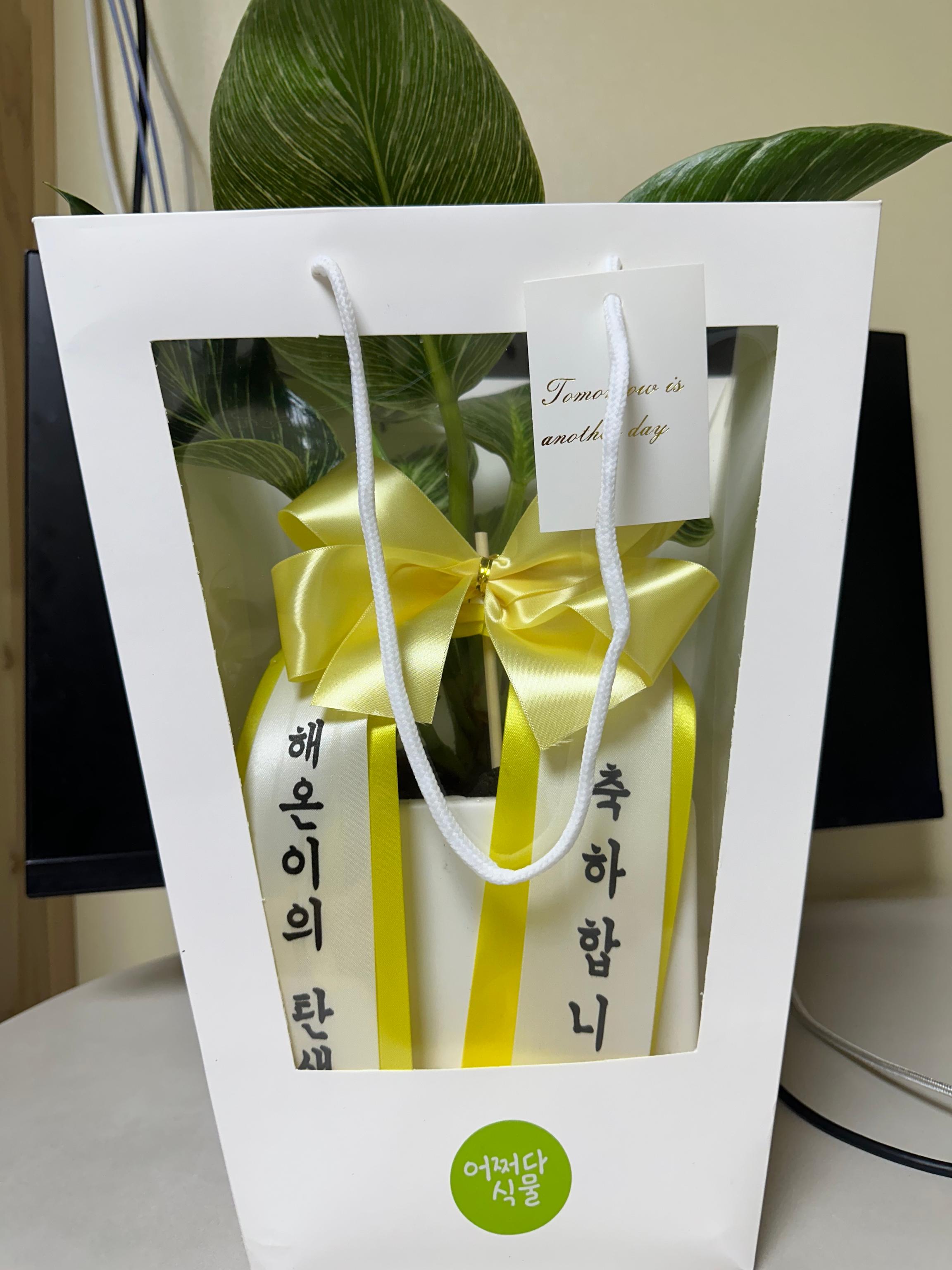 리뷰사진-0