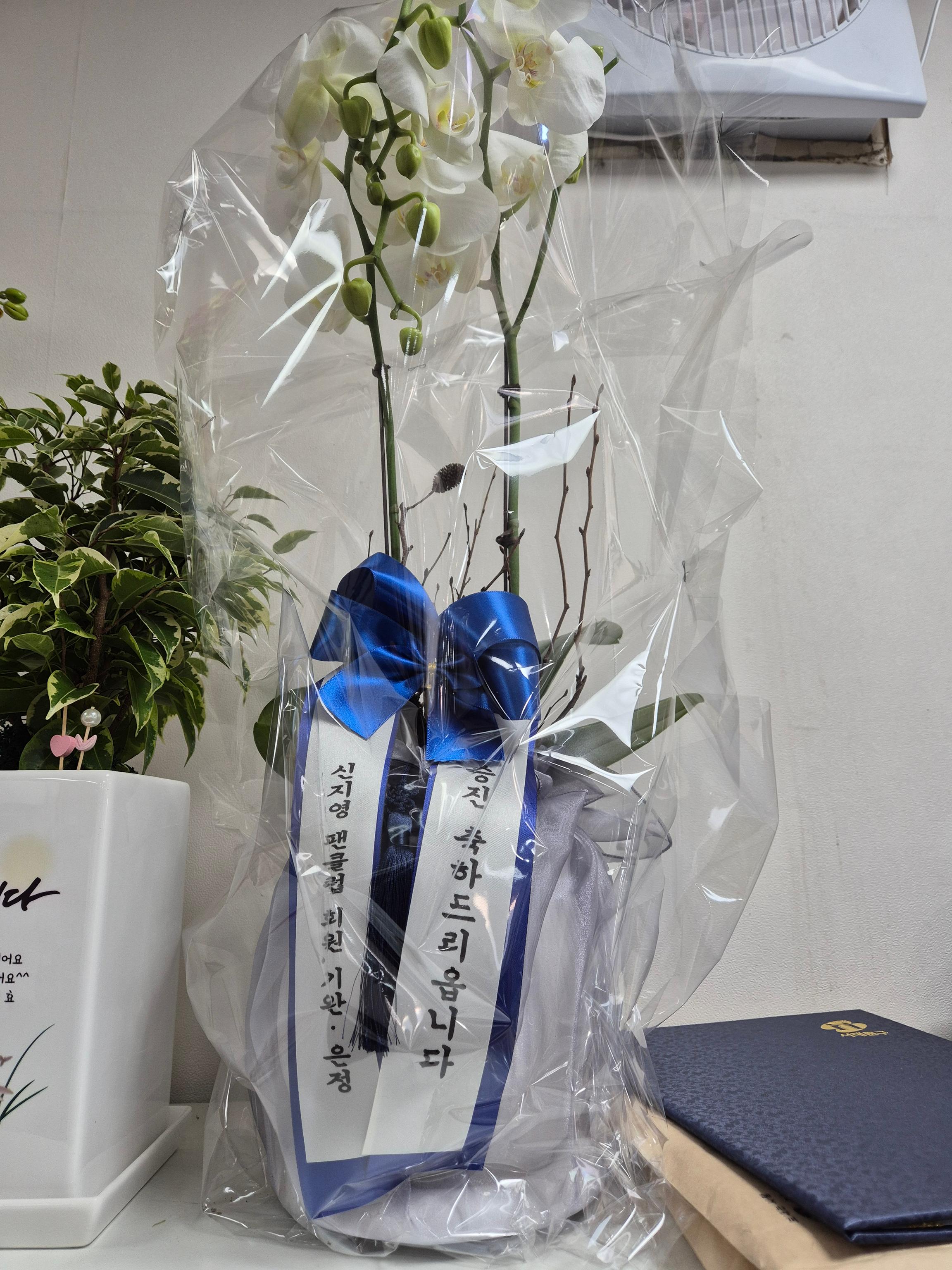 리뷰사진-0