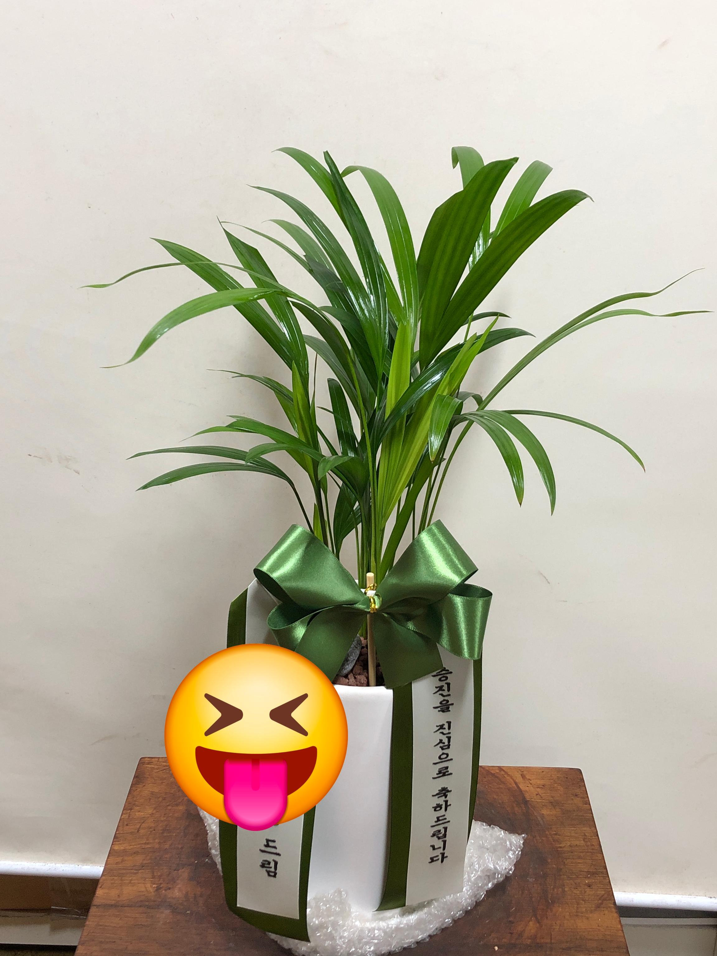 리뷰사진-0