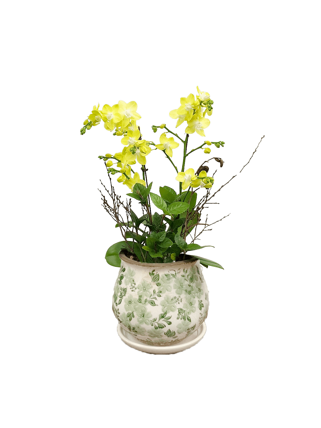 호접 노랑색(2대)-세라믹 꽃무늬 그린