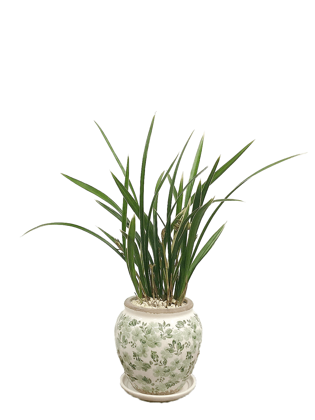 황용금-세라믹 꽃무늬 그린