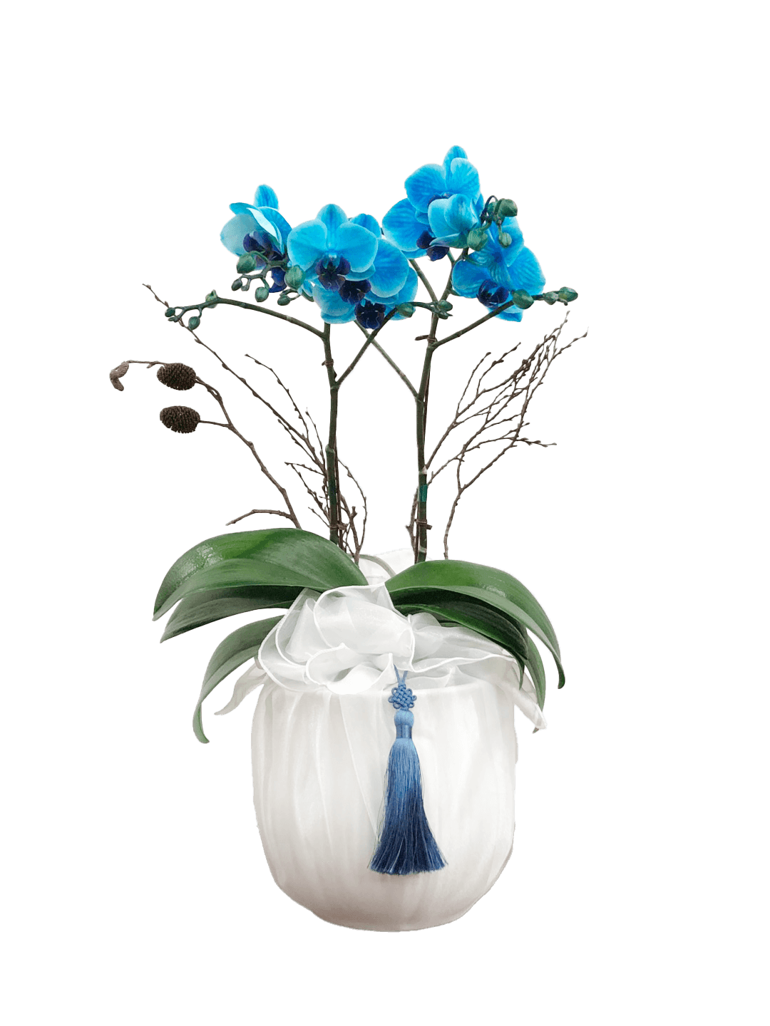 호접 블루(2대)-줄무늬 화이트+화이트 보자기