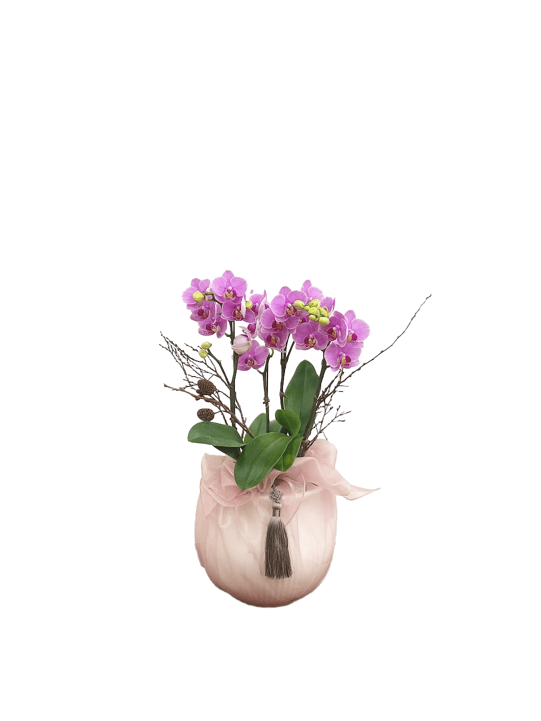 호접 분홍(4대)-줄무늬 화이트+연분홍 보자기