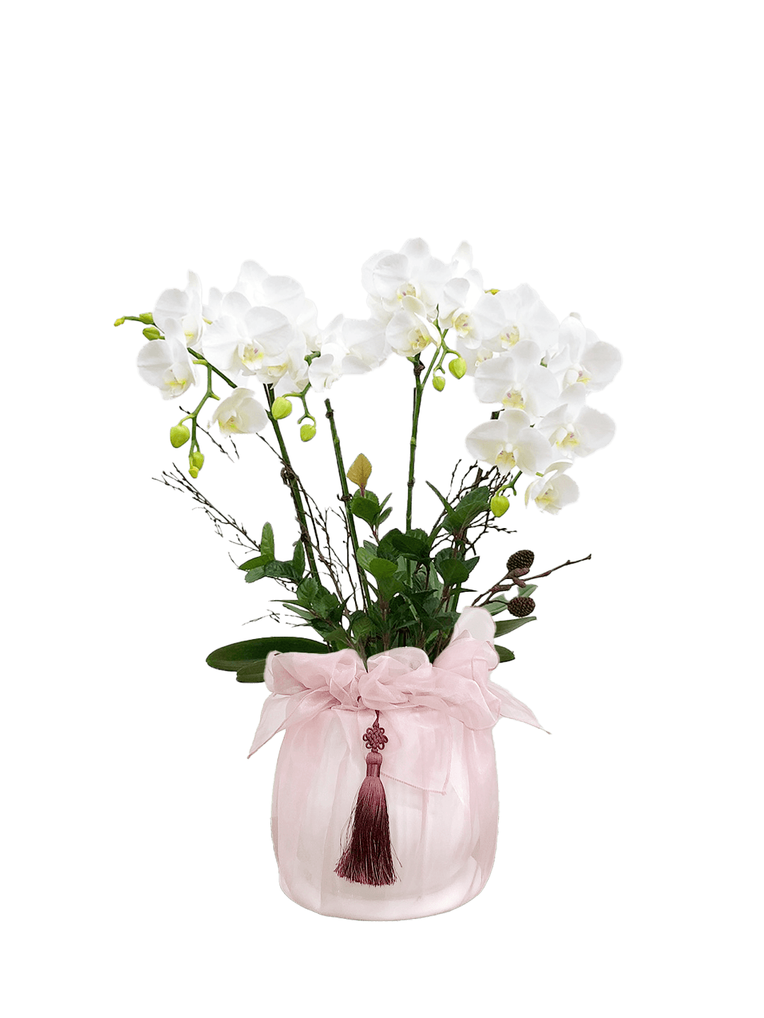 호접 화이트(4대)-줄무늬 화이트+연분홍 보자기