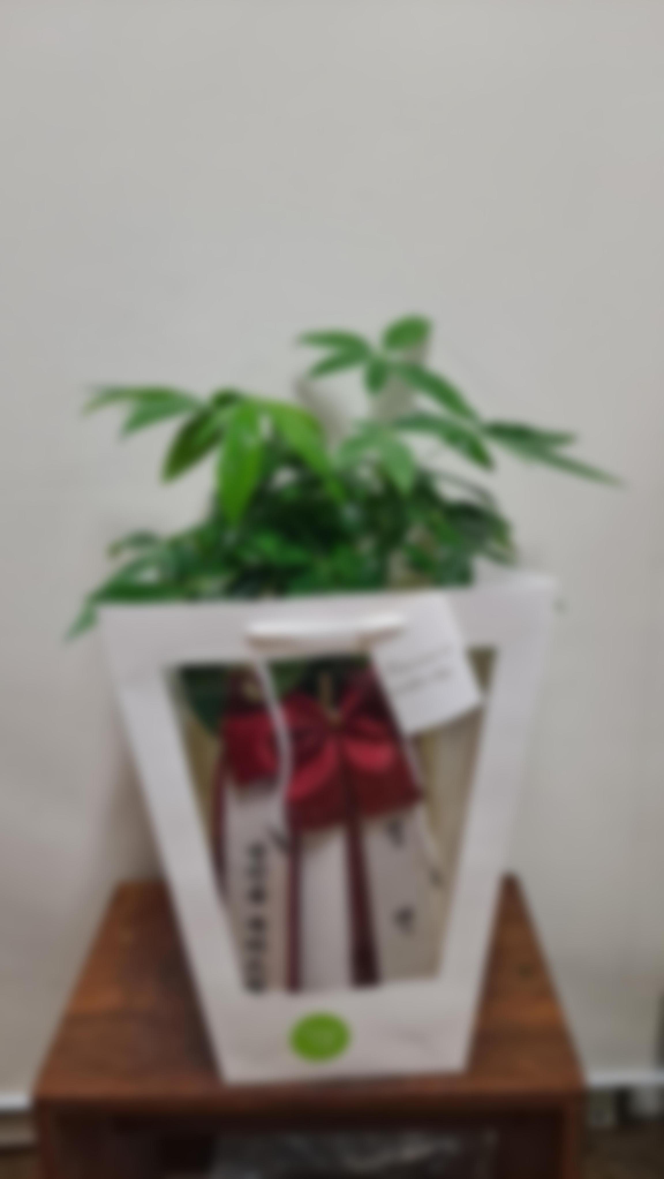 리뷰사진-0