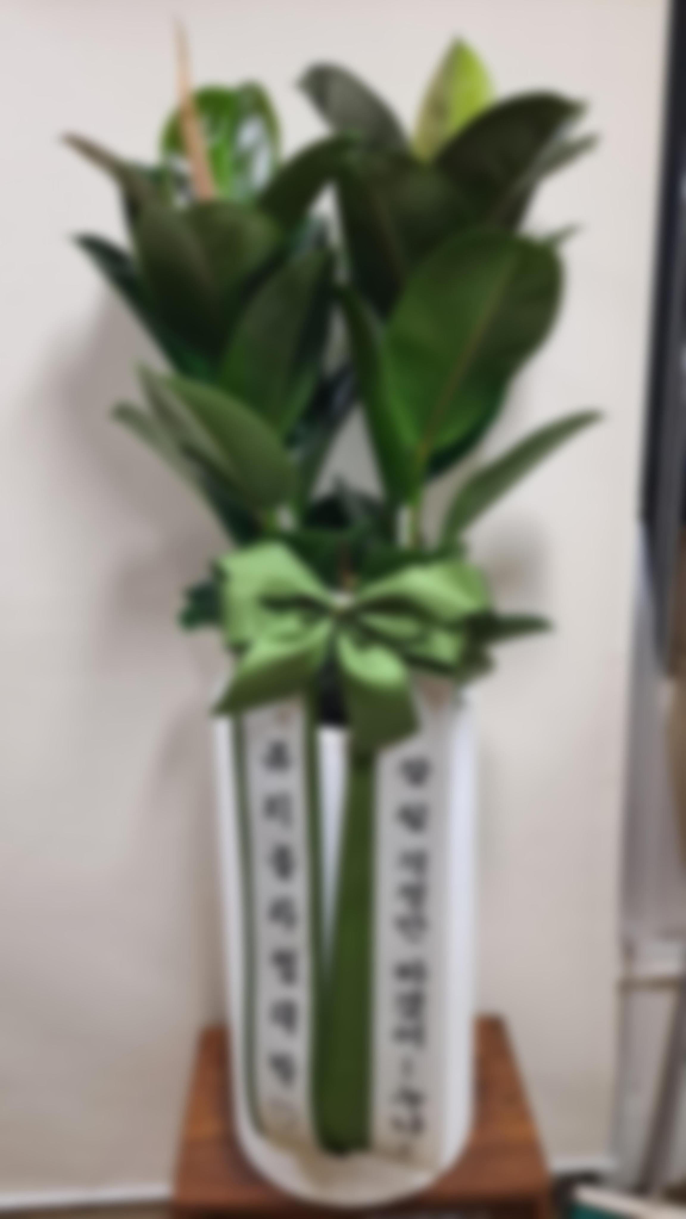 리뷰사진-0