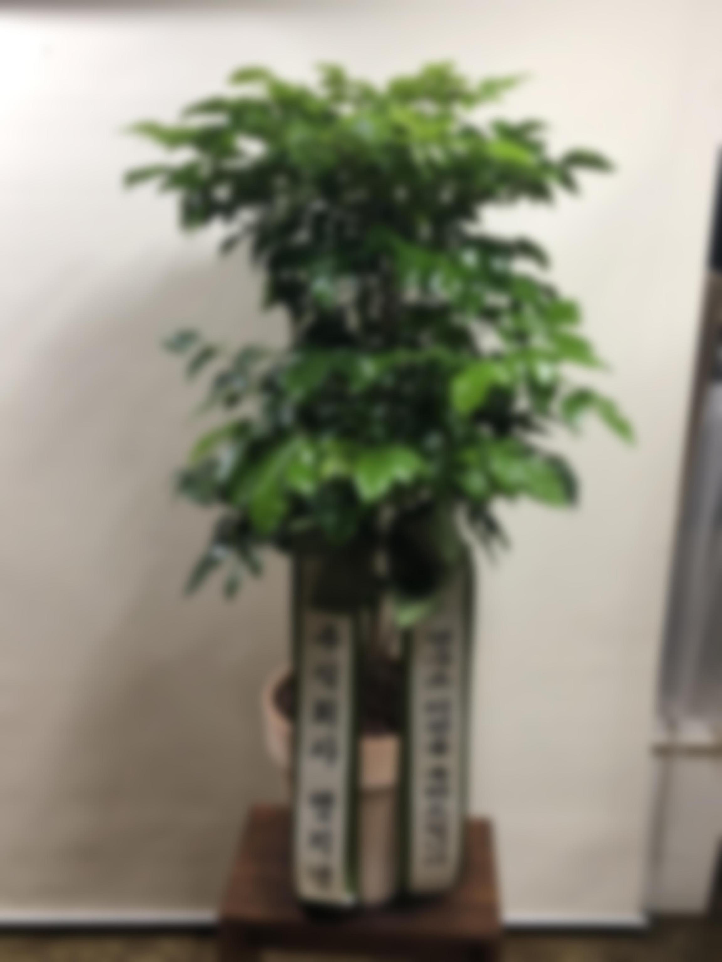 리뷰사진-0