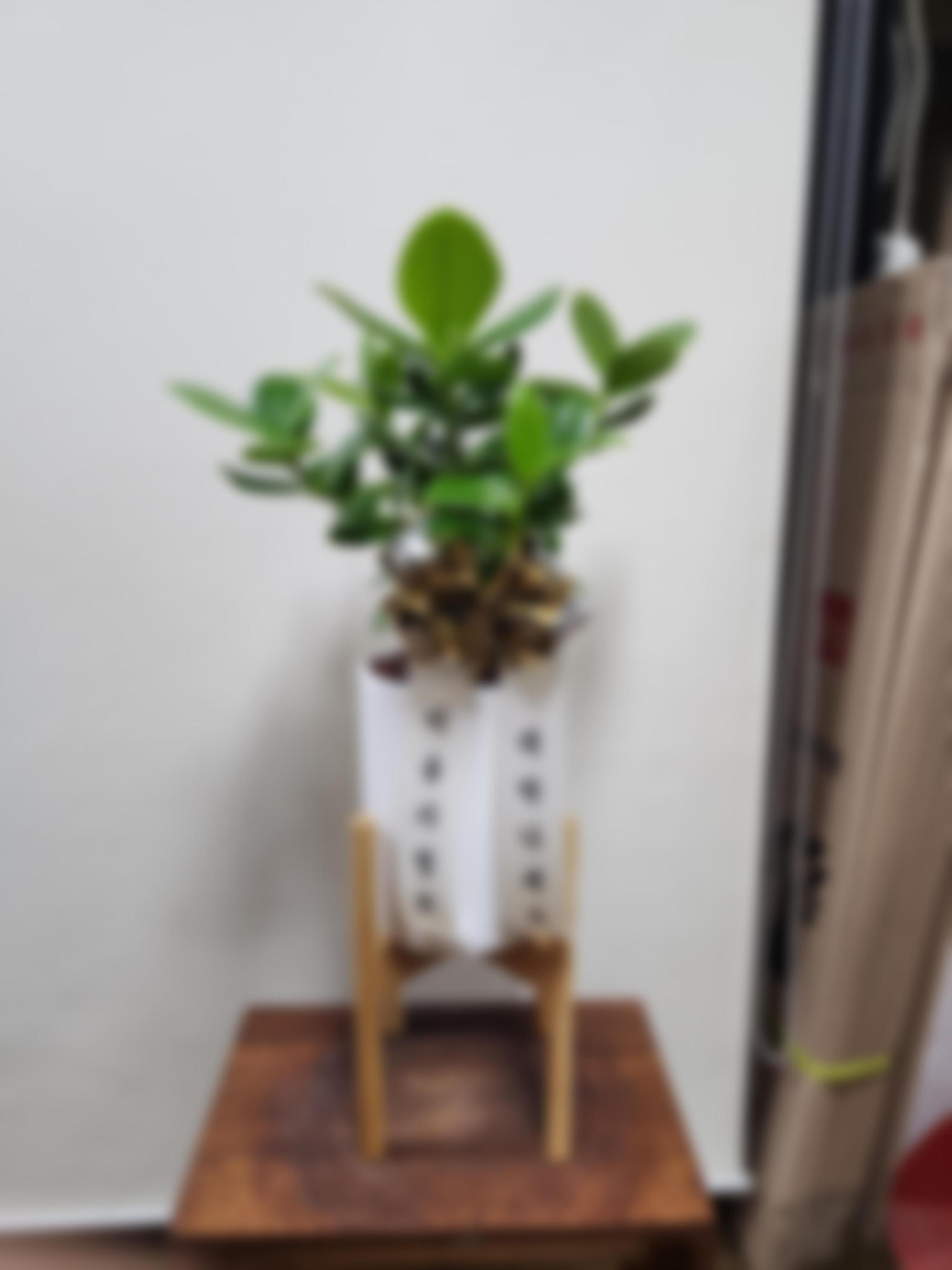 리뷰사진-0
