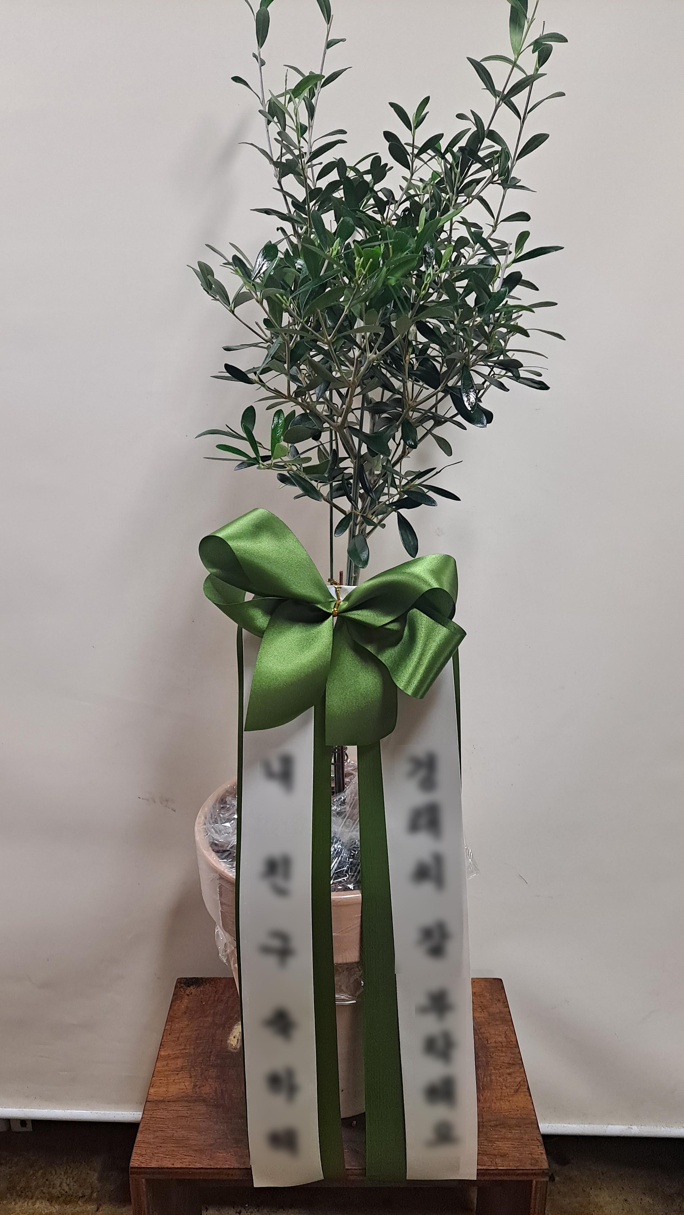 리뷰사진-0