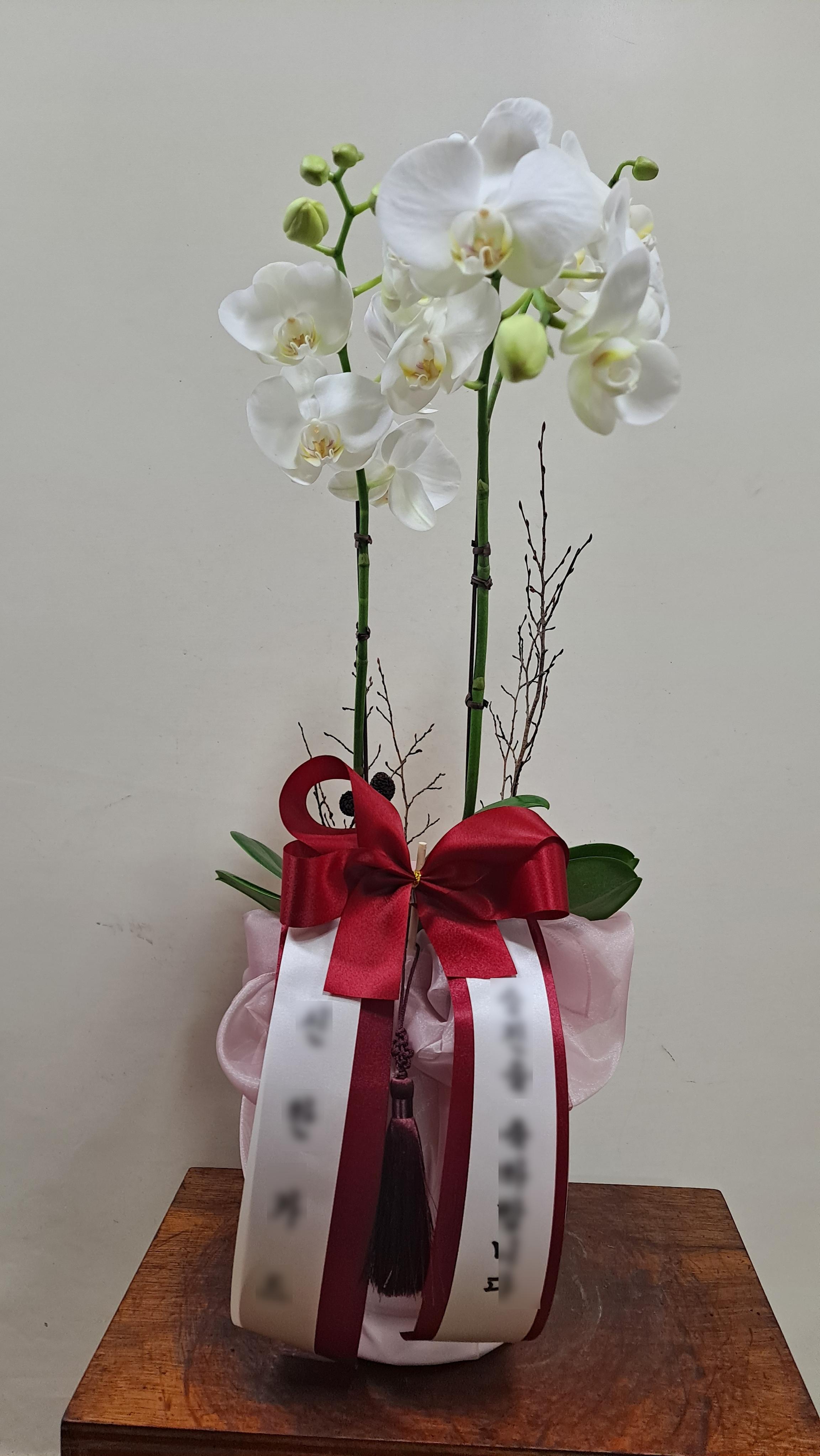 리뷰사진-1