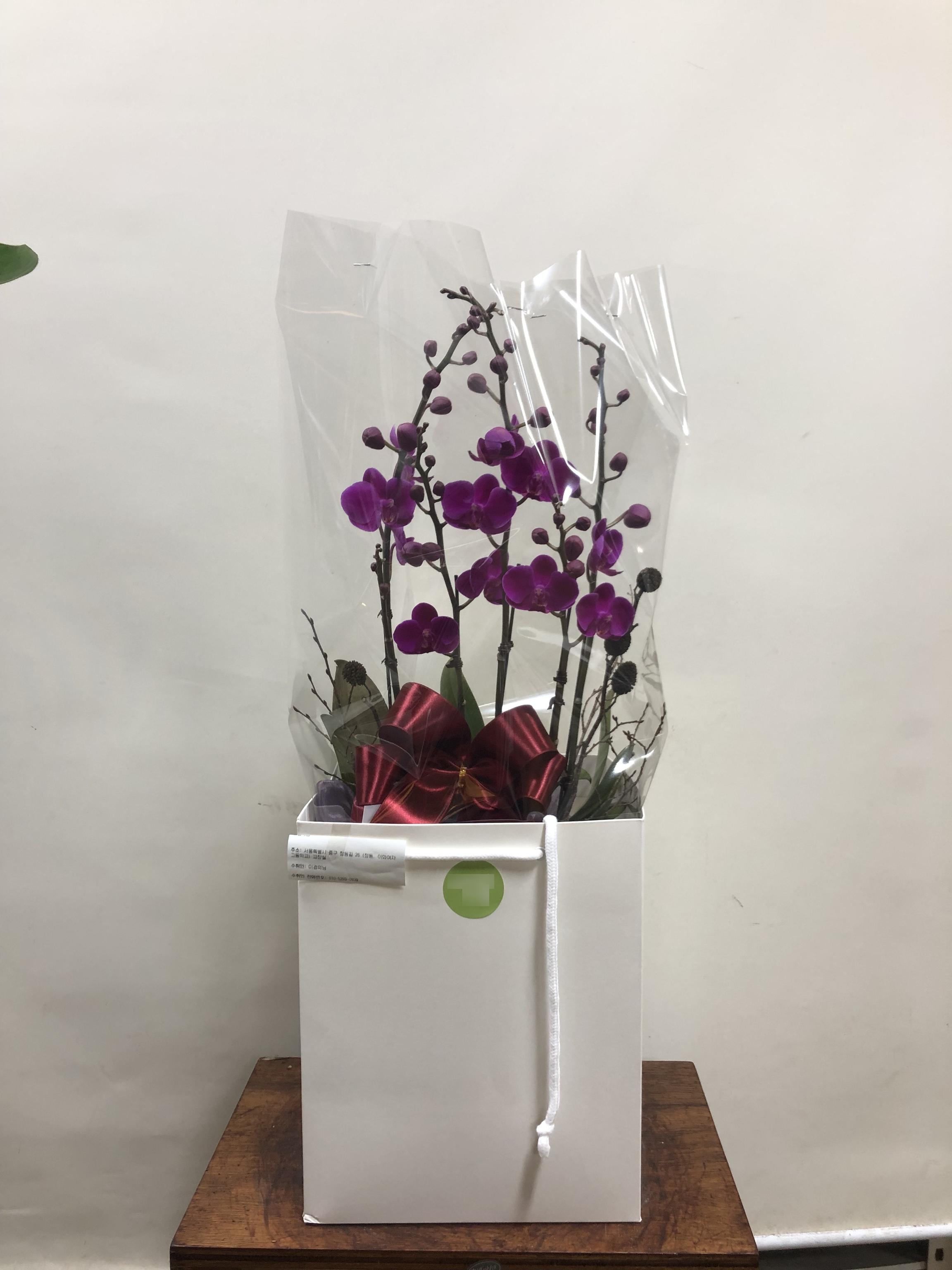 리뷰사진-1