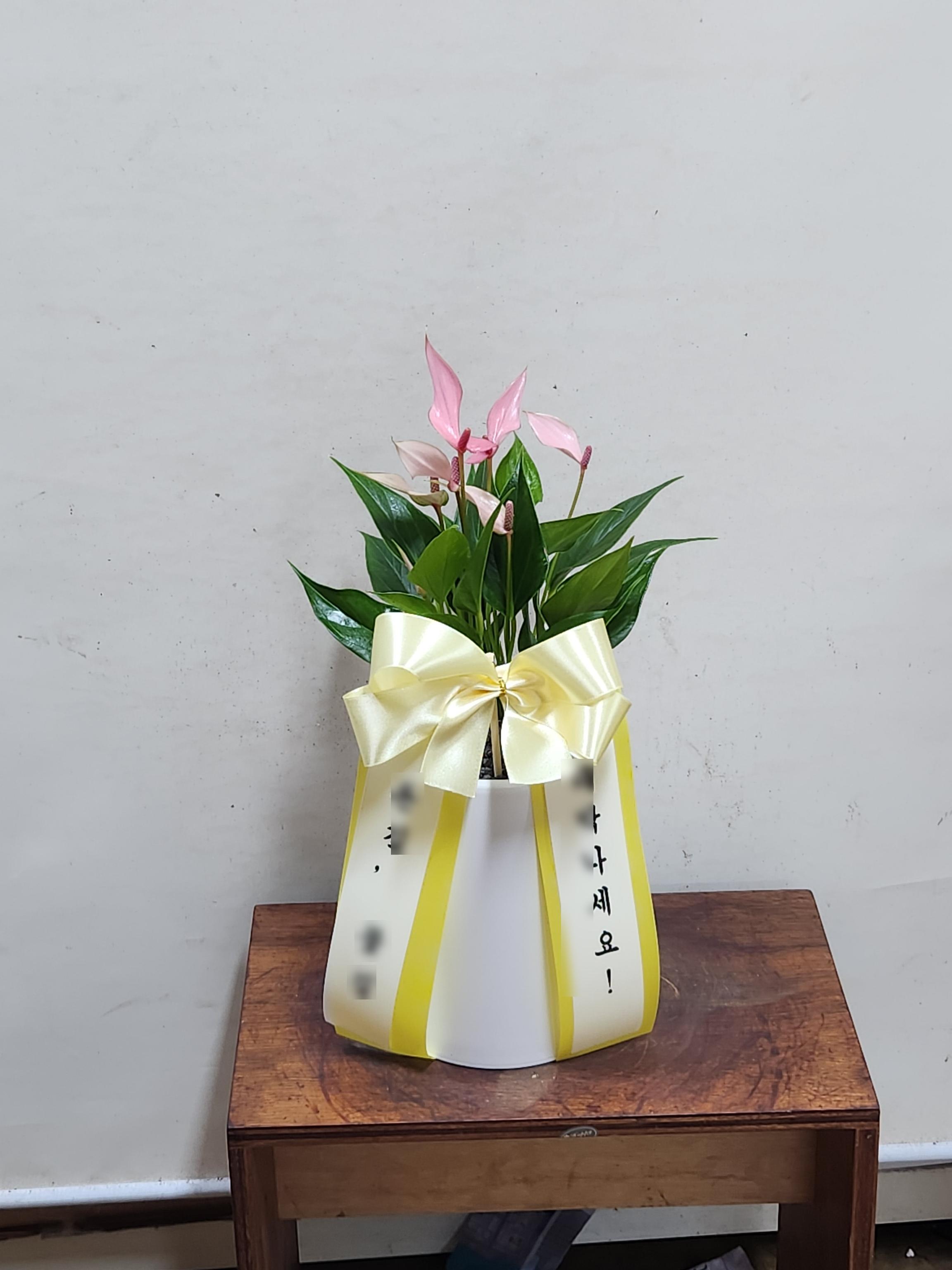 리뷰사진-0
