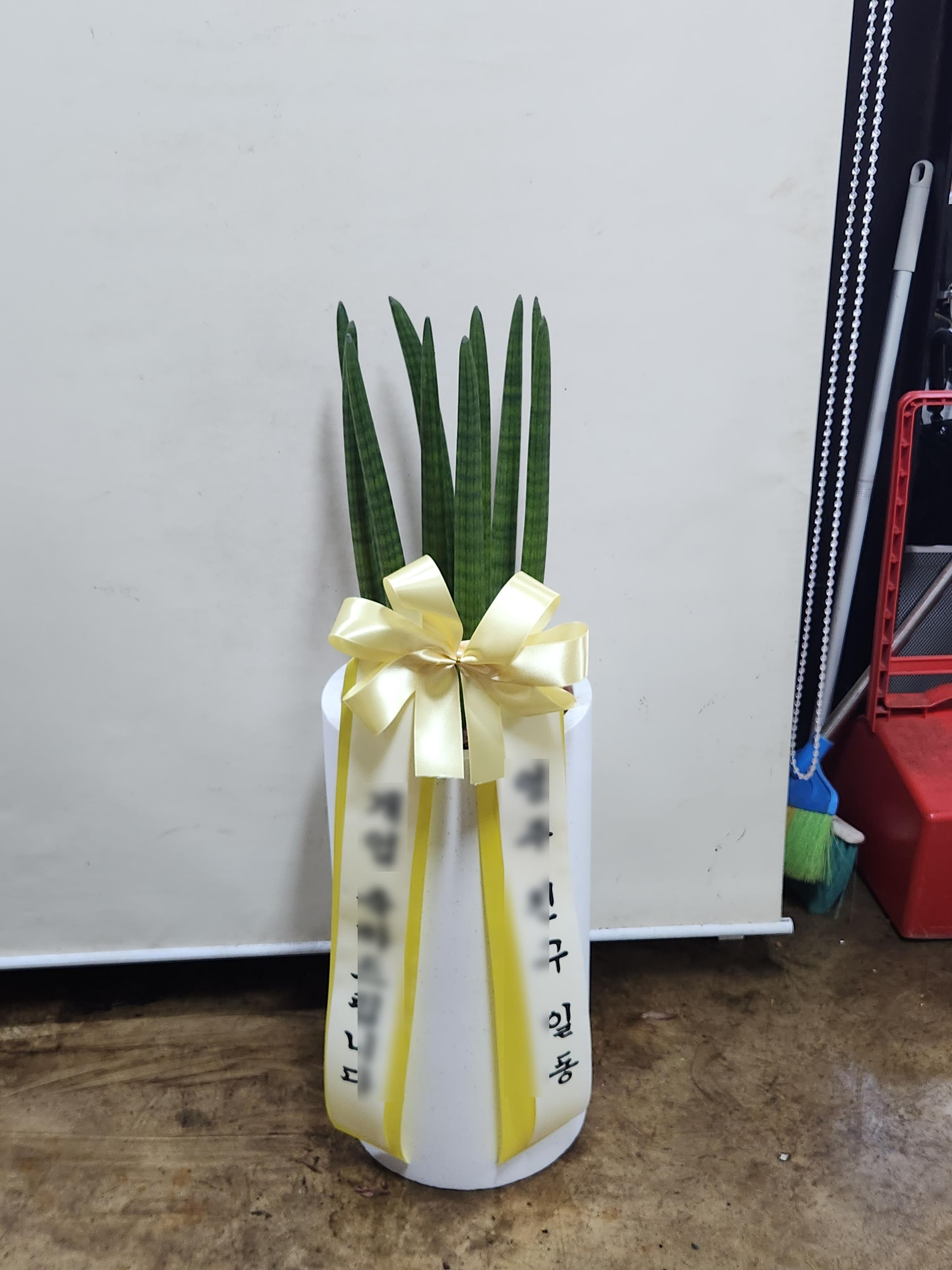 리뷰사진-0