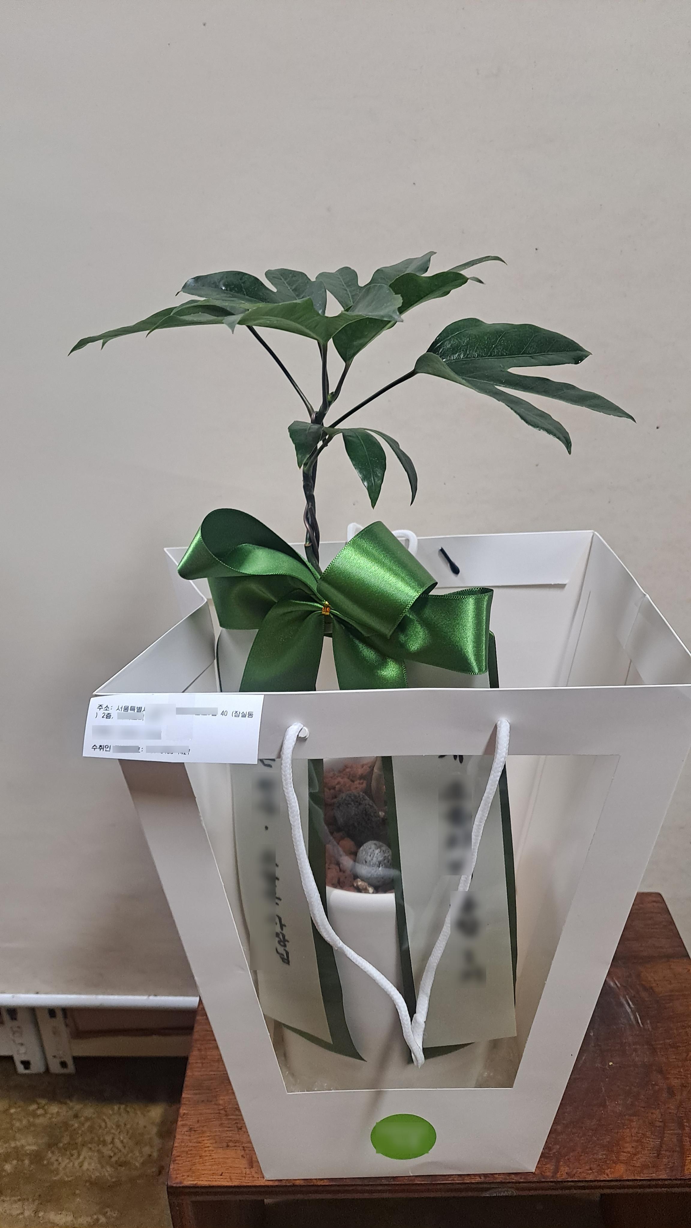 리뷰사진-1