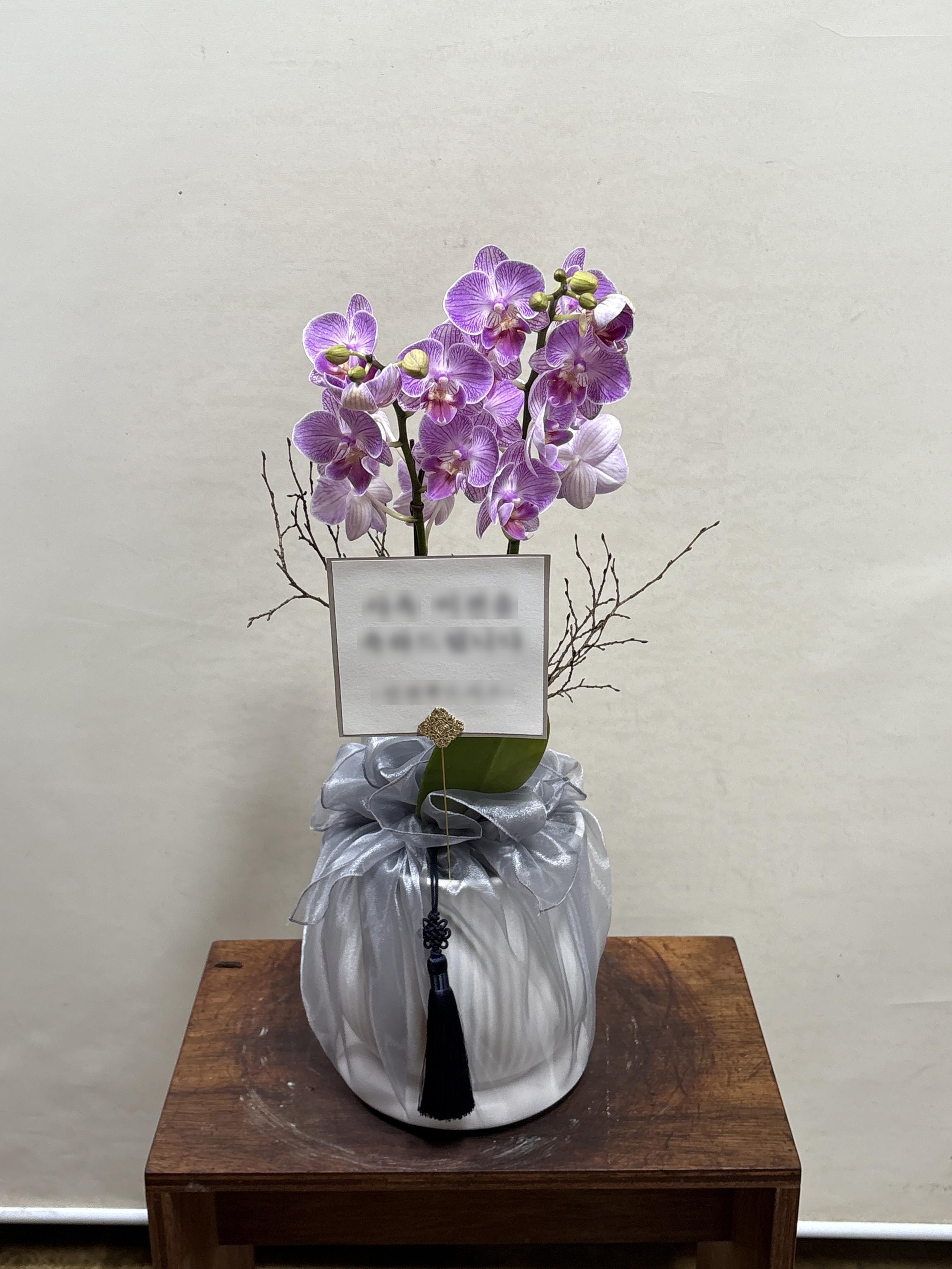 리뷰사진-0