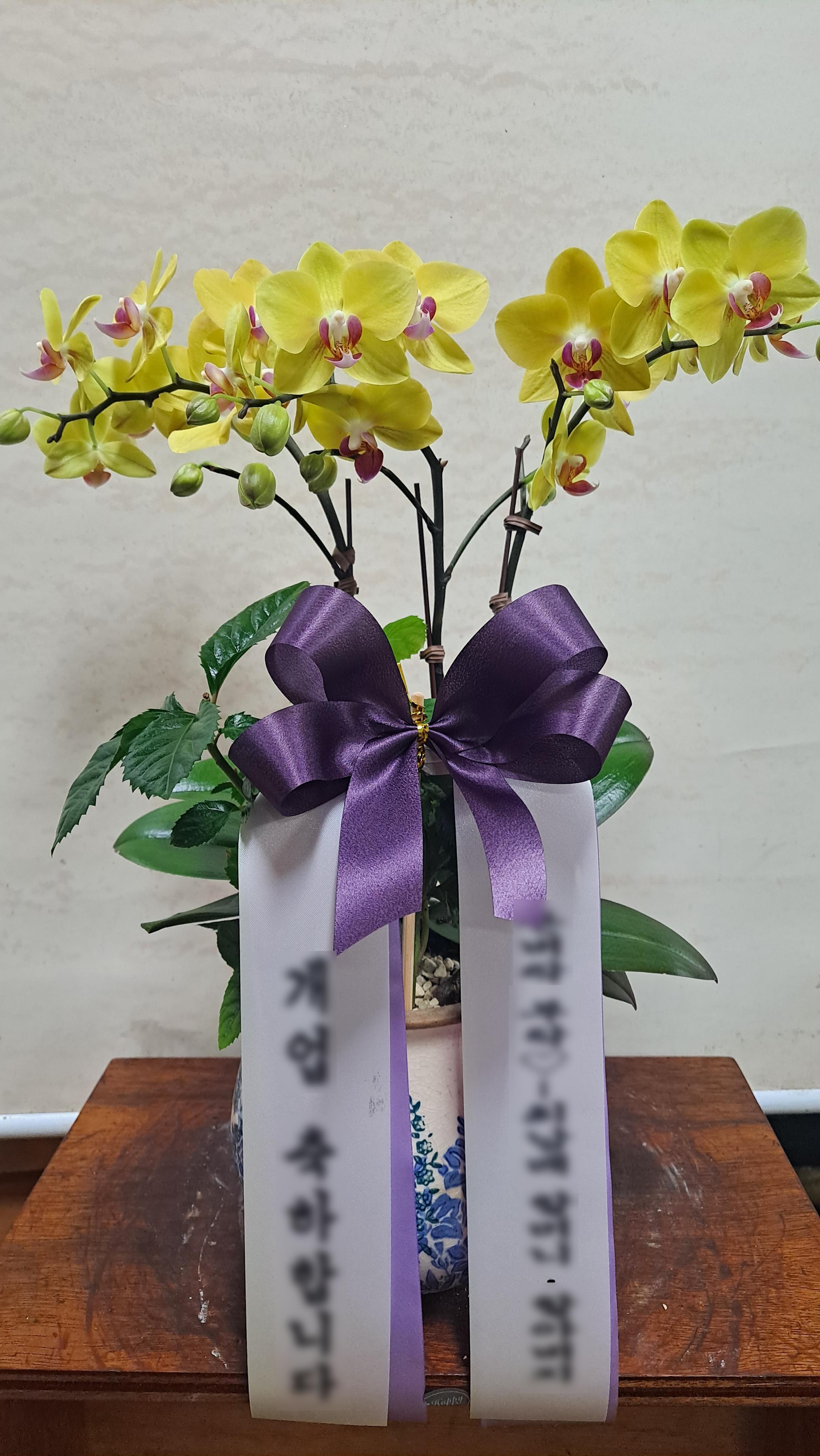 리뷰사진-1