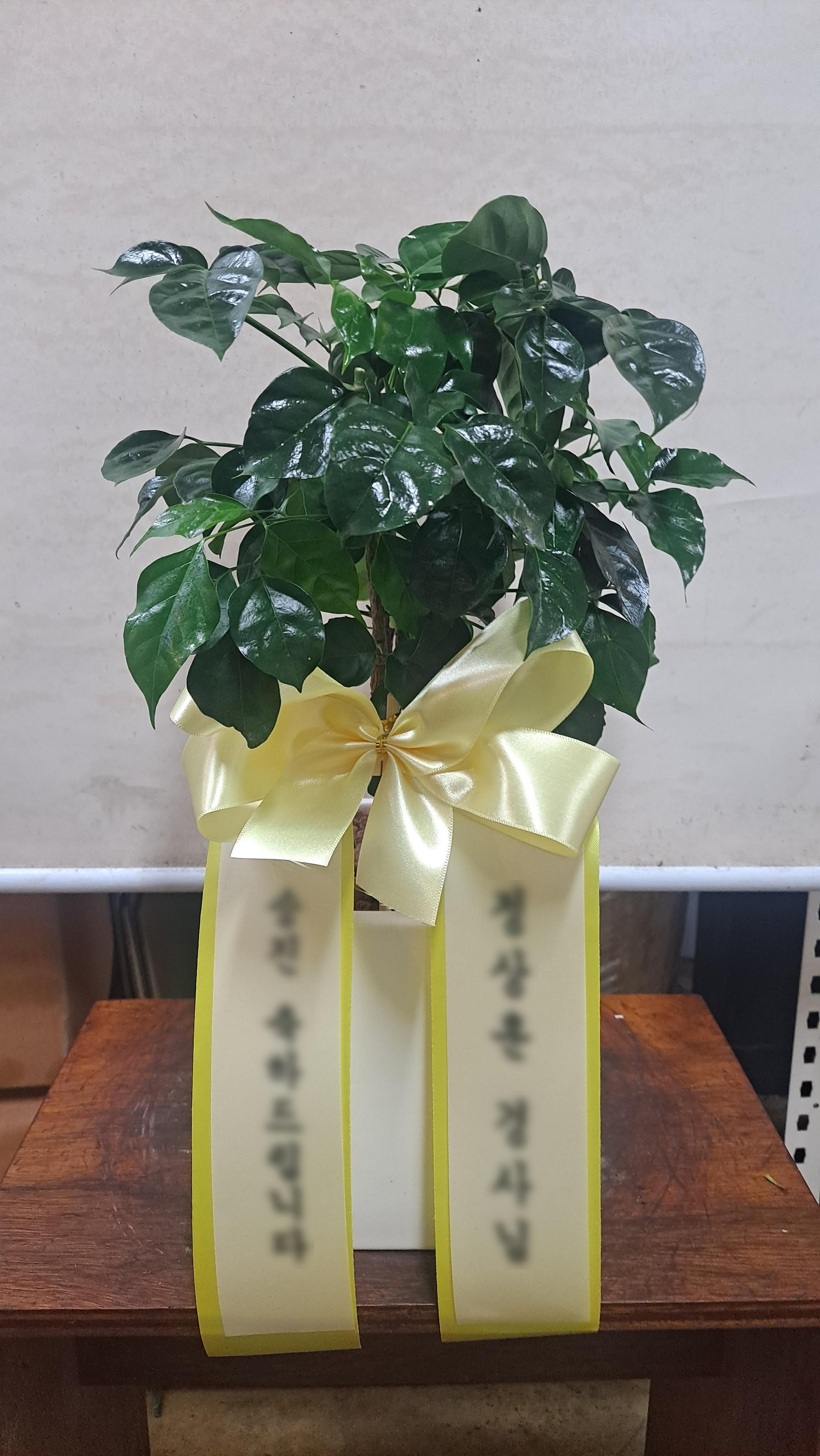 리뷰사진-0