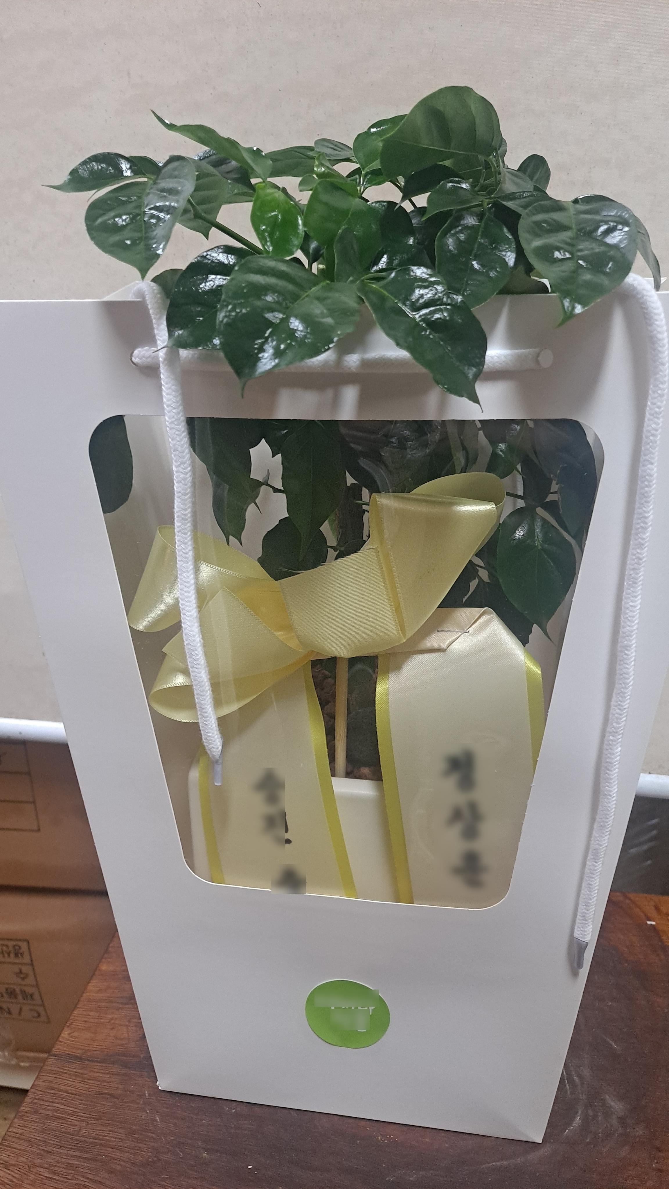 리뷰사진-1