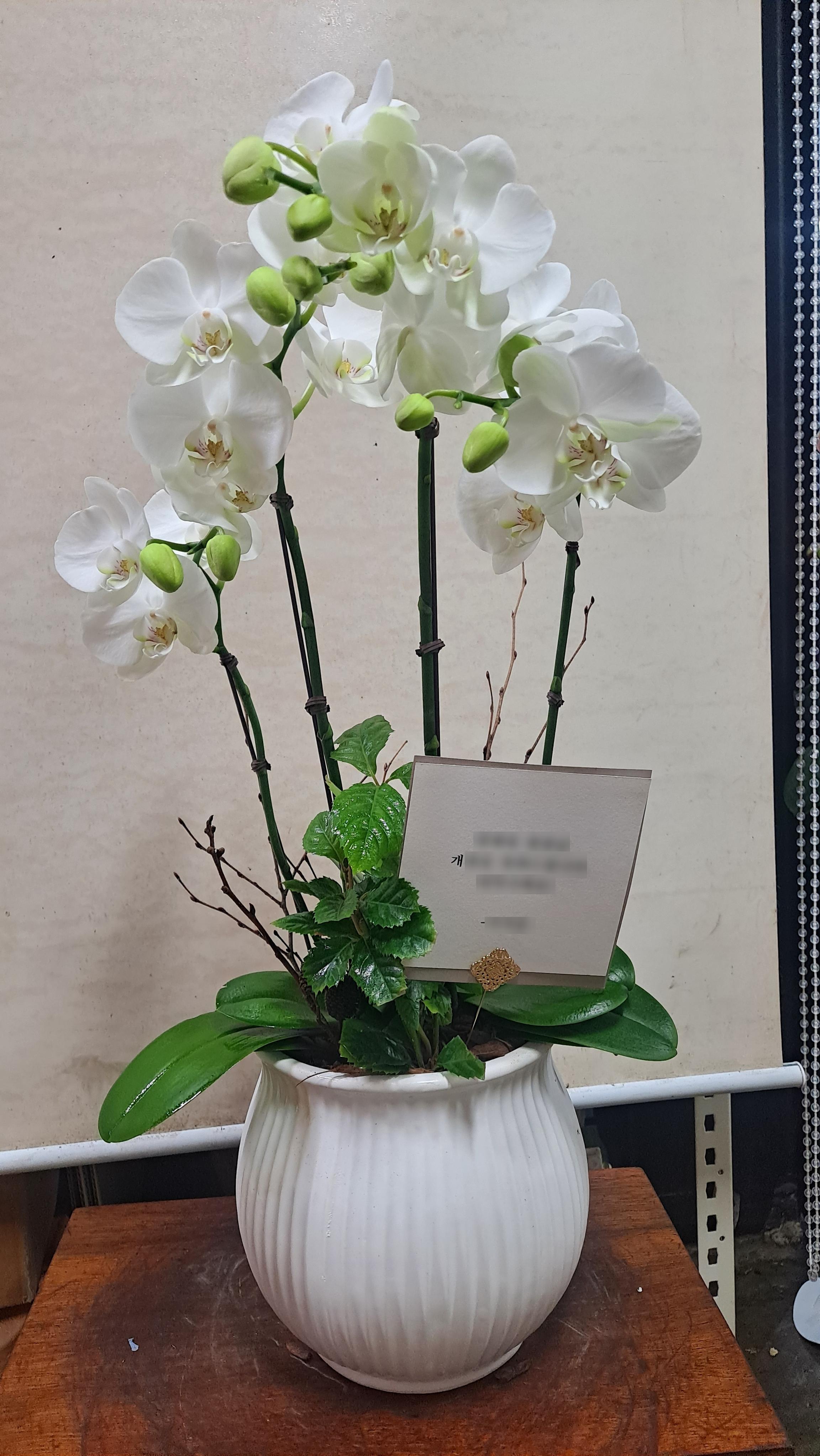 리뷰사진-1