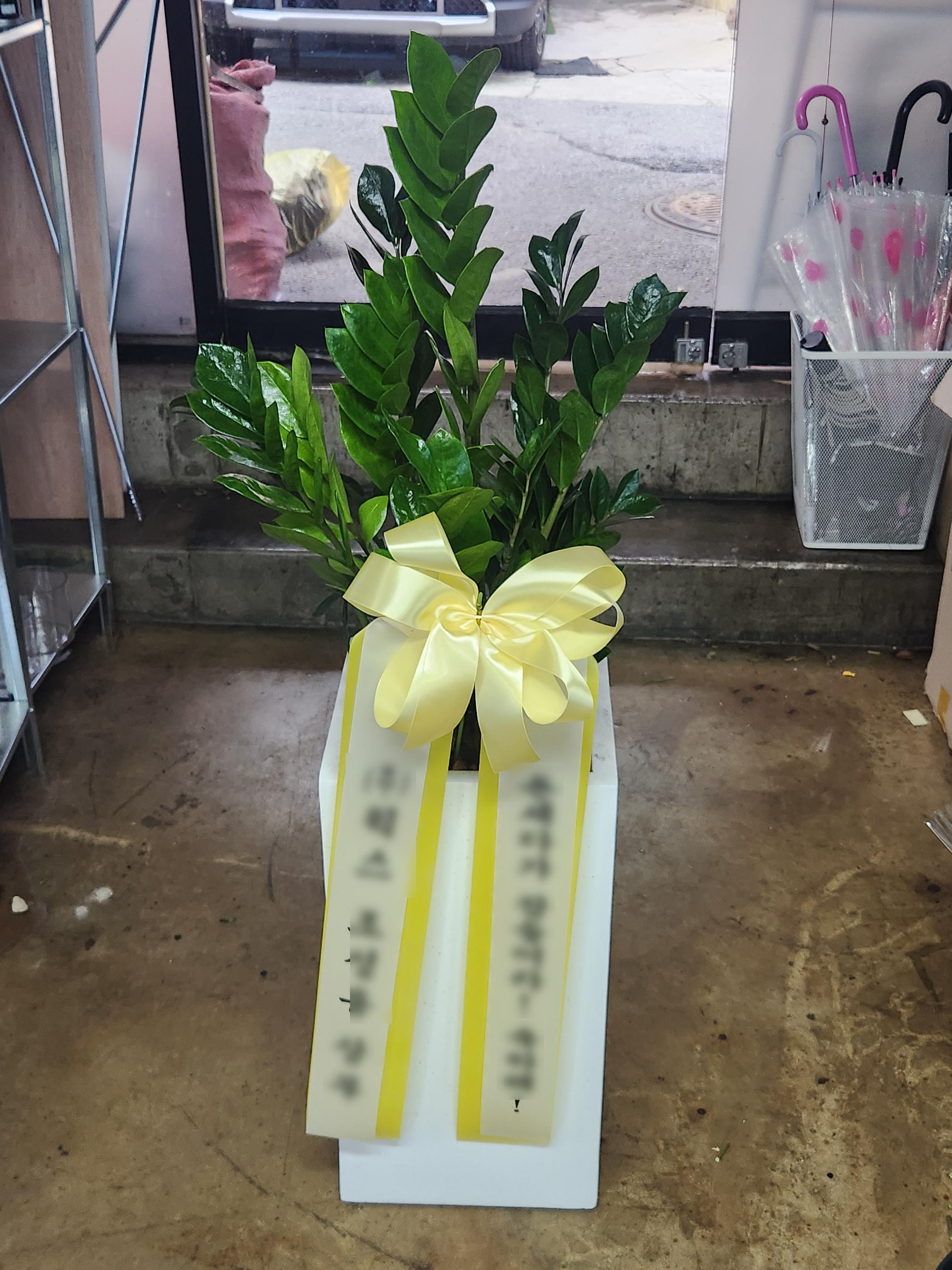리뷰사진-0