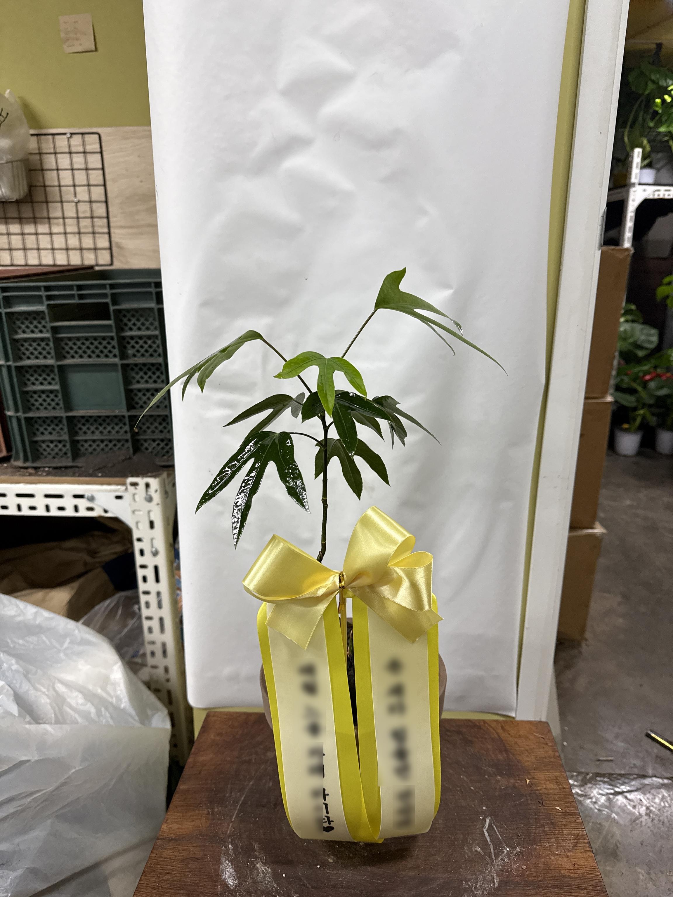 리뷰사진-0