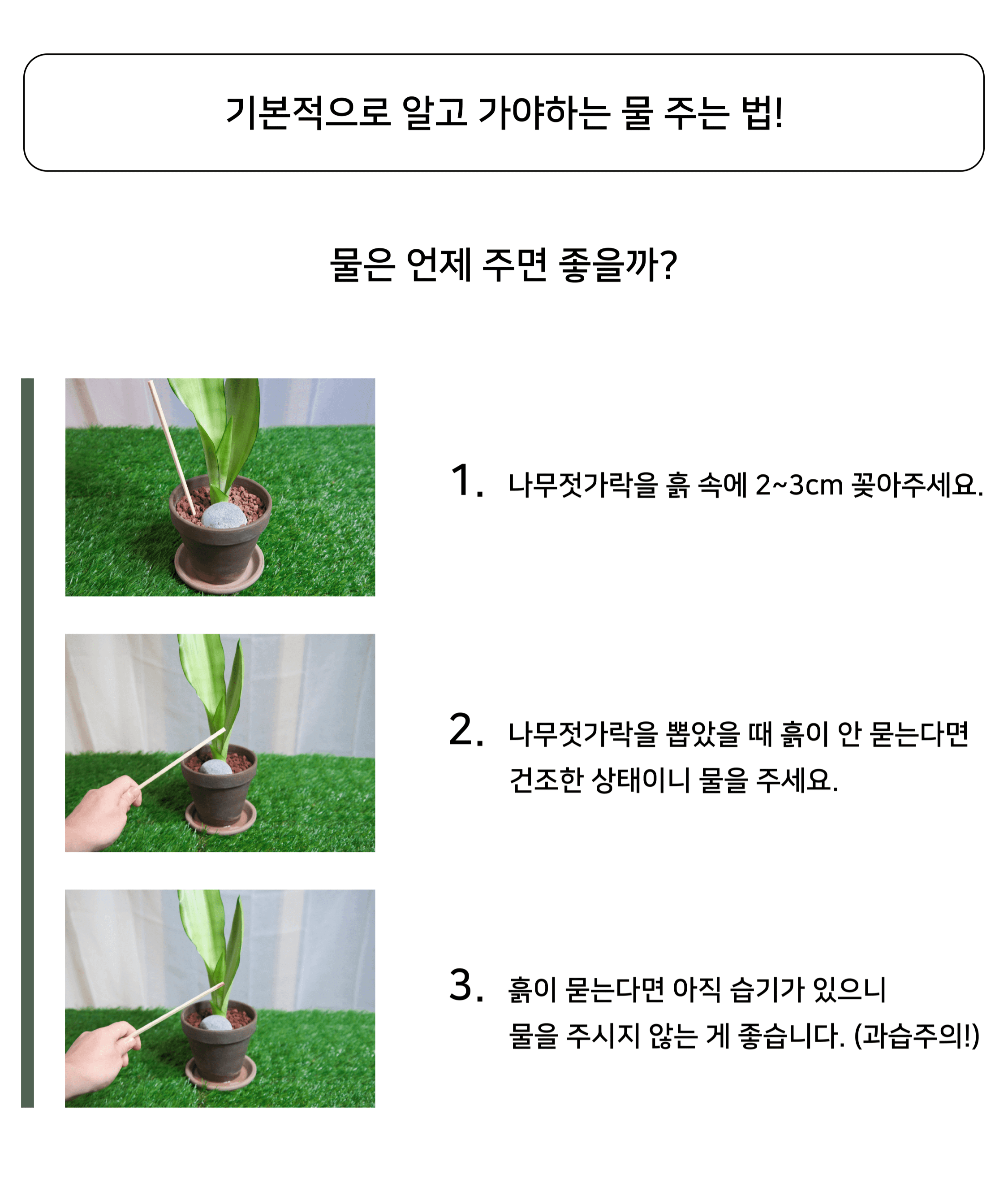 생육가이드
