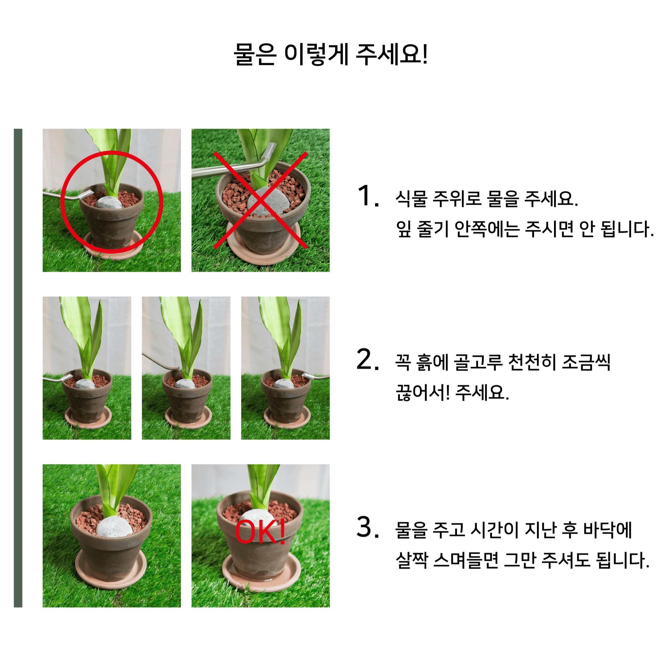 생육가이드