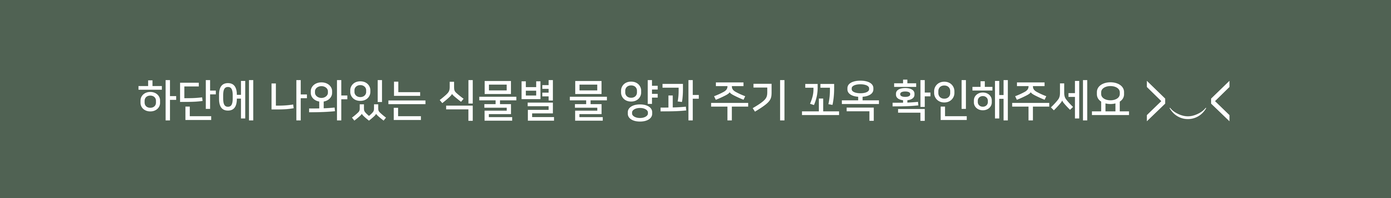 생육가이드